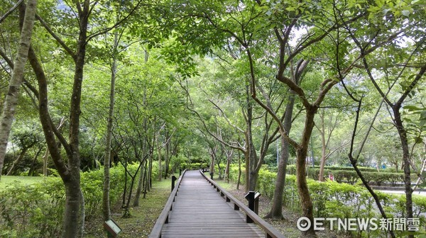 太魯閣國家公園燕子口步道，發現有落石現象，為了維護遊客安全，緊急暫時封閉燕子口步道，並於10月8日起提前進行刷坡工程。（圖太管處提供）