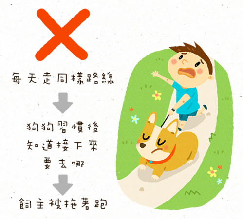 散步不只是運動,更能讓狗狗轉換心情!(圖/毛起來 MaoUp)