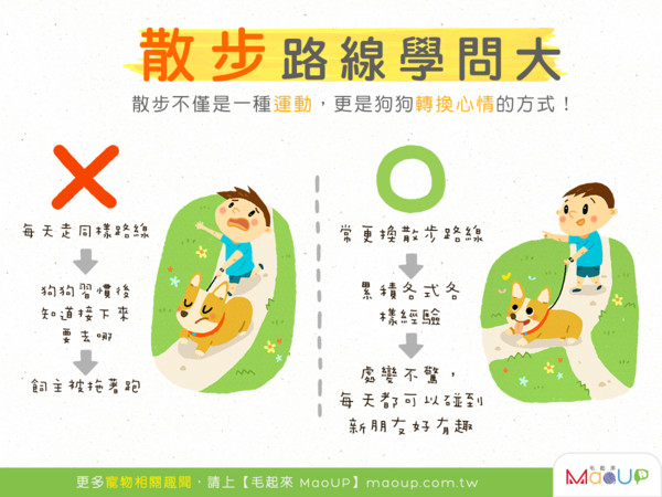 散步不只是運動,更能讓狗狗轉換心情!(圖/毛起來 MaoUp)