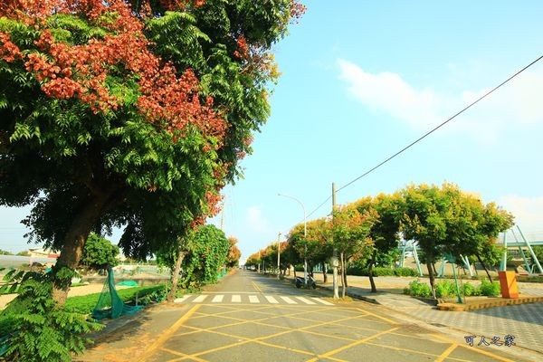 ▲嘉義新港藝術高中空中彩虹跑道。（圖／可人之家提供）