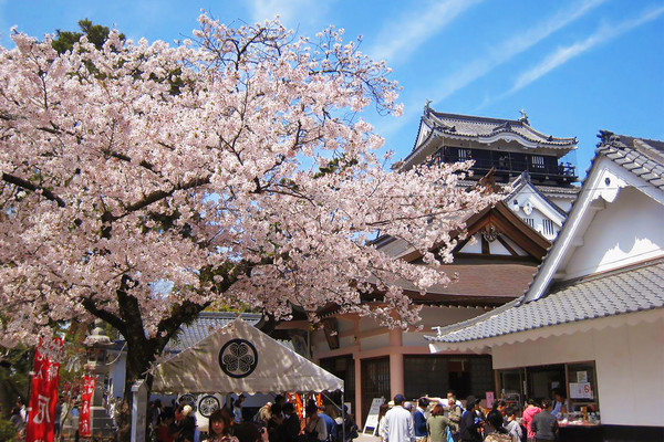 ▲搭盆舟賞櫻，預約2018春浪漫遊日本西美濃最美絕景。（圖／翔笙旅遊提供）