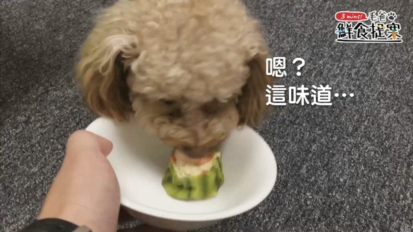 IG超上相功夫菜~蒸蝦!絲瓜盅!(圖/毛起來 MaoUp)