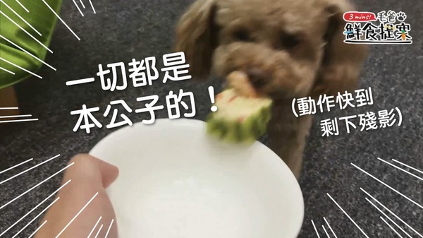 IG超上相功夫菜~蒸蝦!絲瓜盅!(圖/毛起來 MaoUp)