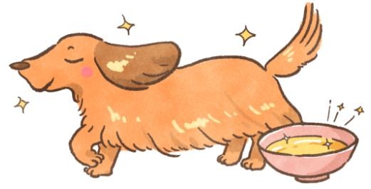 【毛孩食品解析】想要柔順毛髮?毛囊健康靠脂肪!(圖/毛起來 MaoUp)