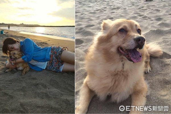 愛犬活不過2個月，媽媽帶牠重回當初相遇的海灘。（圖／網友曾詩晴提供，請勿隨意翻拍，以免侵權。）