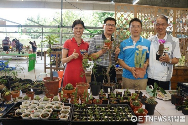 ▲桃園假日農創市集內，最有特色的「多肉植物專區」。（圖／記者楊淑媛攝）