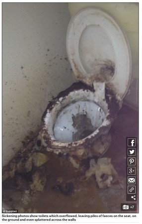▲▼桑德拉多年來清理過不少環境極為惡劣的家居。（圖／翻攝自DailyMail）