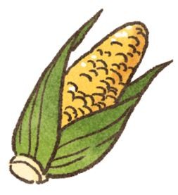 【毛孩食品解析】飼料沒有告訴你,碳水化合物去哪兒?(圖/毛起來 MaoUp)