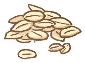 【毛孩食品解析】飼料沒有告訴你,碳水化合物去哪兒?(圖/毛起來 MaoUp)