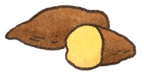 【毛孩食品解析】飼料沒有告訴你,碳水化合物去哪兒?(圖/毛起來 MaoUp)