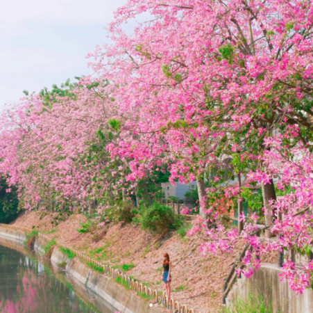 ▲彰化北斗河濱公園。（圖／IG網友yu821021提供，請勿隨意翻拍，以免侵權。）