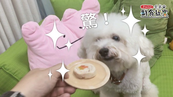 【毛爸鮮食提案】人人都是總鋪師!田園蔬蔬雞腿捲!(圖/毛起來 Maoup)