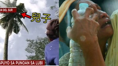 抱18公尺樹不肯下！菲男當了3年無尾熊　獲救後老母已認不出兒