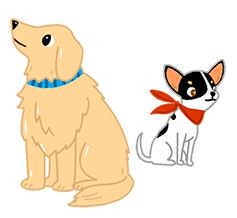 家有懶惰蟲!狗狗為什麼整天都在睡覺?(圖/毛起來 MaoUp)