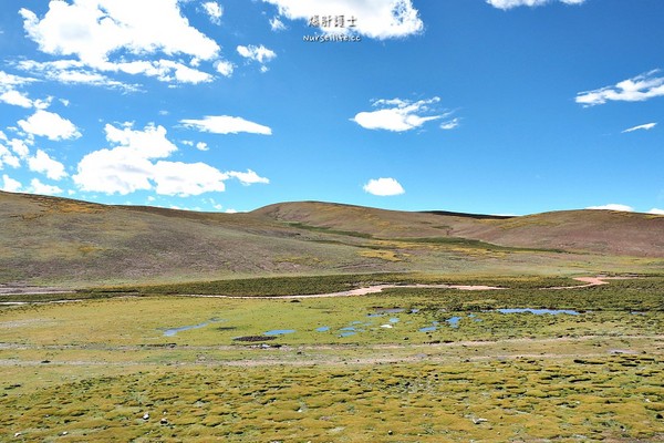 ▲中國西藏旅遊。（圖／爆肝護士提供）
