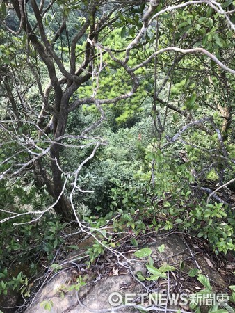 ▲新北市三峽五寮尖山區步道,今下午2時傳男子墜落30公尺深山谷。(圖/記者林煒傑翻攝)