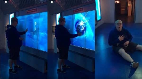 ▲▼ 美國男參觀博物館，手摸螢幕，卻被鯊魚嚇壞，當場慘叫、跌坐在地。（圖／翻攝自Youtube）