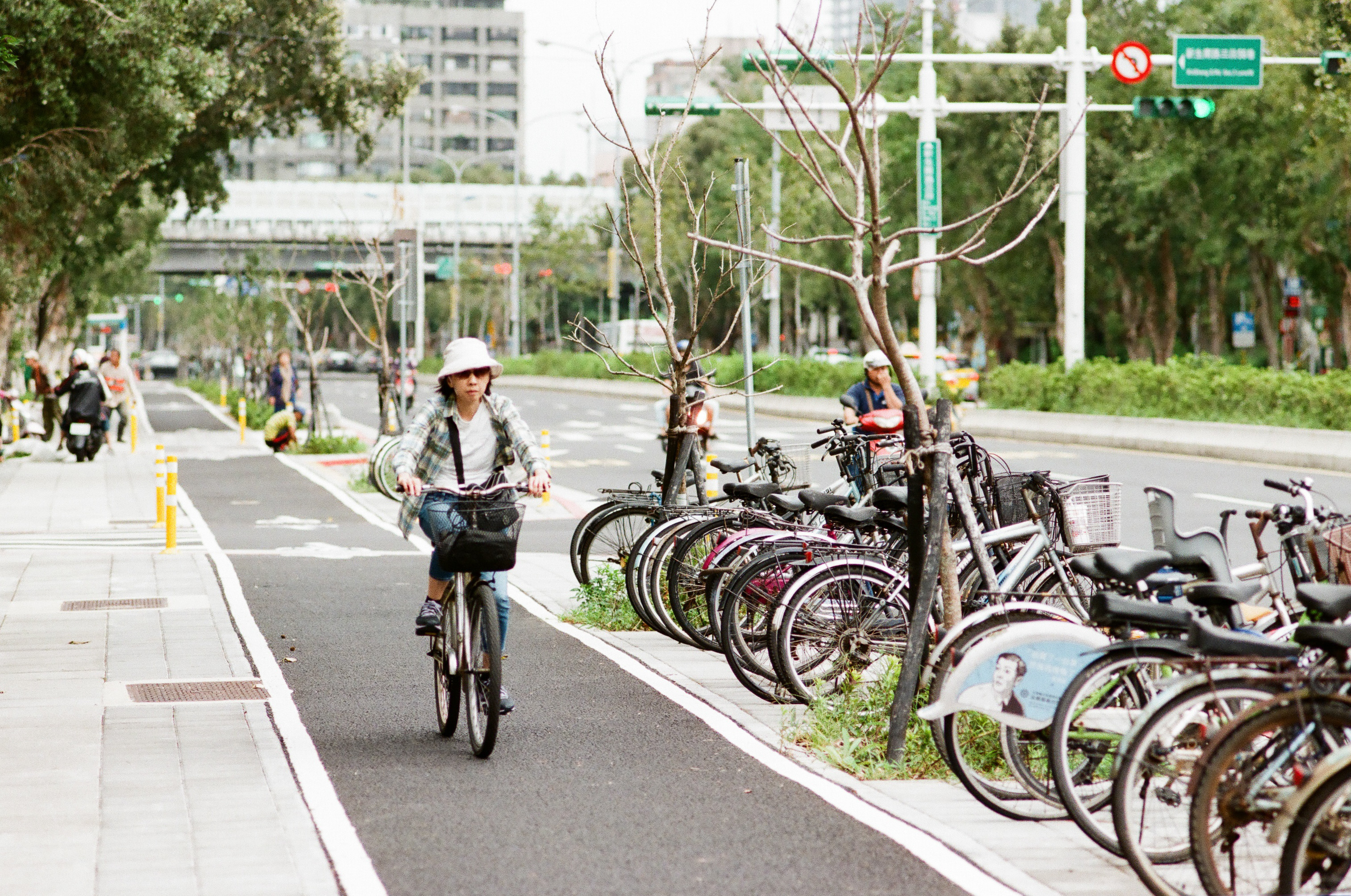 新生南路自行車道,運動休閒,節能減碳,人行道透水鋪面。（圖／記者李毓康攝）