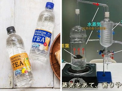 三得利公開透明奶茶製程！「高濃度萃取香氣」裝置原理超簡單
