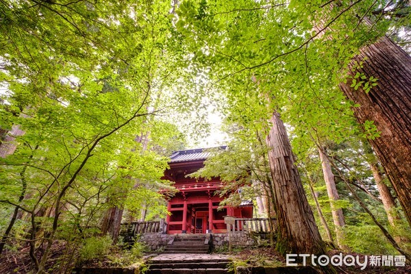 日本日光－瀧尾神社（滝尾神社）。（圖／記者徐文彬攝）