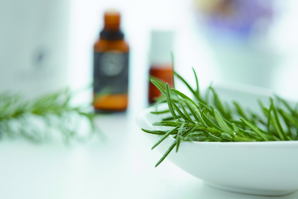 ▲蚊蟲,蚊子,叮咬,驅蟲,精油。(圖/翻攝自pixabay)