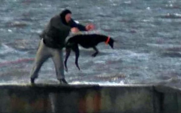 ▲恐怖男把狗狗「丟下海！」　頭一浮出來「又被海浪打沉」。（圖／RSPCA）