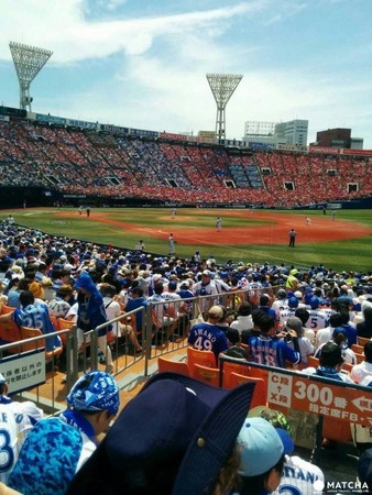 ▲日本棒球。（圖／MATCHA提供）