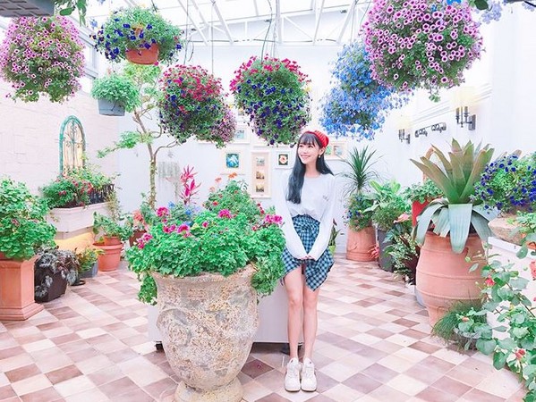 ▲菁芳園。（圖／IG@yoyoirisyo提供，請勿任意翻攝以免侵權）