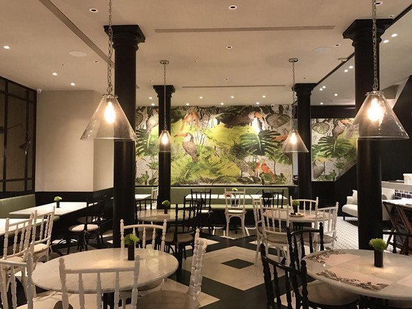 張智超參與投資的「芒果樹」餐廳，裝潢是時尚簡約風，即將開幕的大直店空間寬敞，店內面積達百坪。（張智超提供）