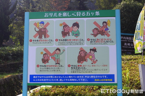 ▲▼高崎山自然動物園。（圖／記者蔡玟君攝）