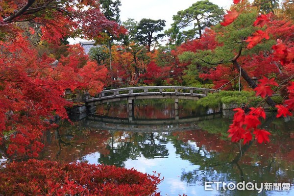 ▲▼京都永觀堂紅葉。（圖／記者蔡玟君攝）