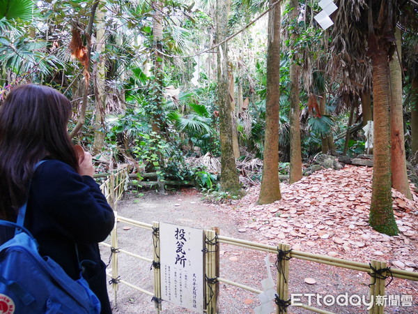 ▲日本青島神社。（圖／記者彭懷玉攝）