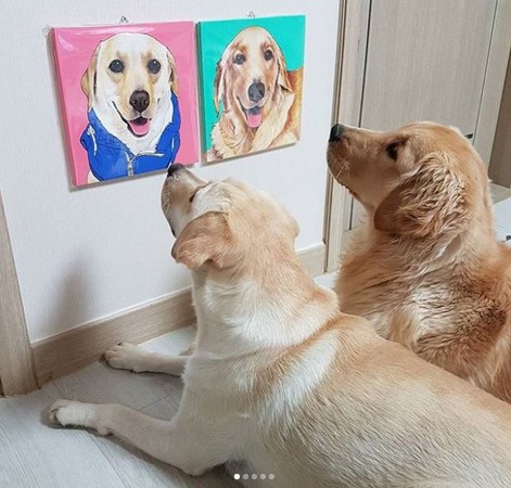 拉拉頭栽進土裡:我沒睡著哦!(圖/翻攝自Instagram帳號@oh.seung.a)