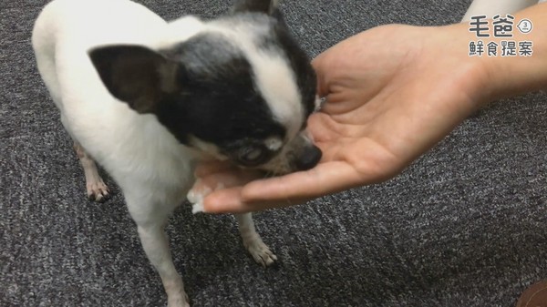 深藏電鍋的在地台味~古早味牛肉碗粿(圖/毛起來 MaoUp)