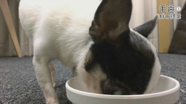 深藏電鍋的在地台味~古早味牛肉碗粿(圖/毛起來 MaoUp)