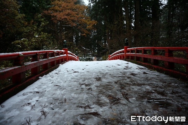 ▲▼羽黑山五重塔。（圖／記者林彥臣攝）