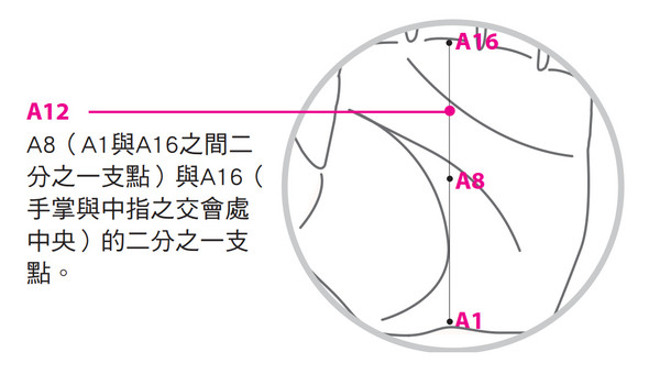 ▲《手針經絡穴位對症》書摘圖。(圖/和平國際提供)