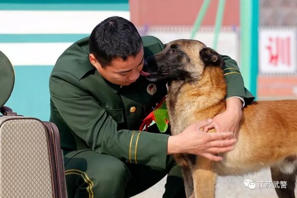 ▲▼江蘇老兵退伍，軍犬咬行李不放。（圖／取自江蘇武警微信）