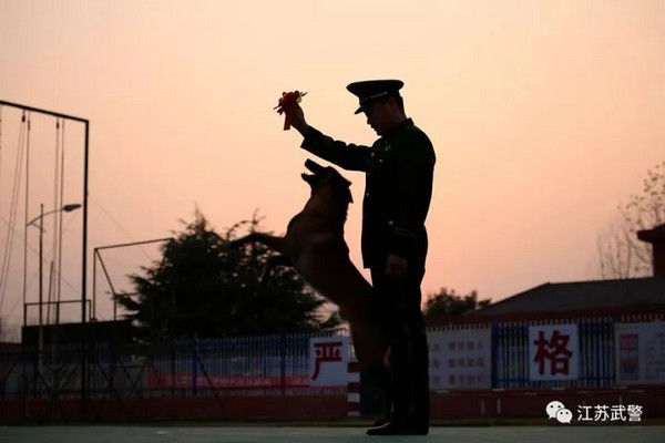 ▲▼江蘇老兵退伍，軍犬咬行李不放。（圖／取自江蘇武警微信）