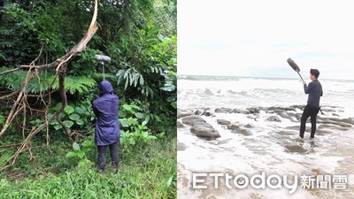 台男錄下老梅溪潮拍、樹蛙鼓鳴　「在地白噪音」讓全世界一夜好眠