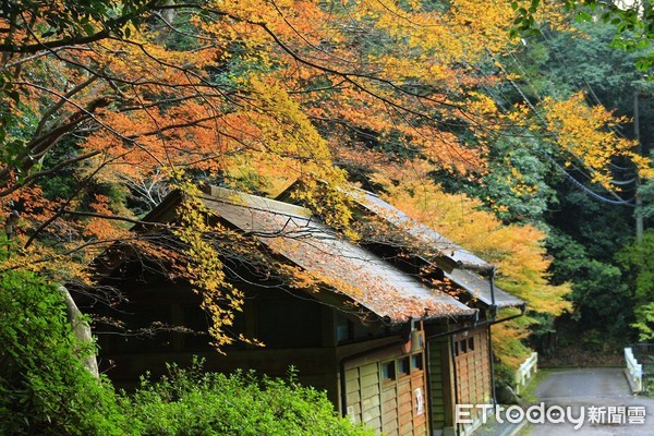 ▲▼大阪泉佐野犬鳴山溫泉。（圖／記者蔡玟君攝）