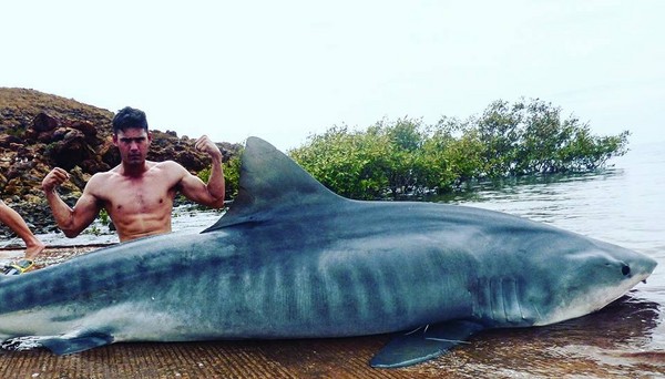 人鯊搏鬥3小時！　19歲少年徒手釣起4.1公尺虎鯊。（圖／翻攝自「Sharky -Pilbara Land base shark fishing」的臉書）