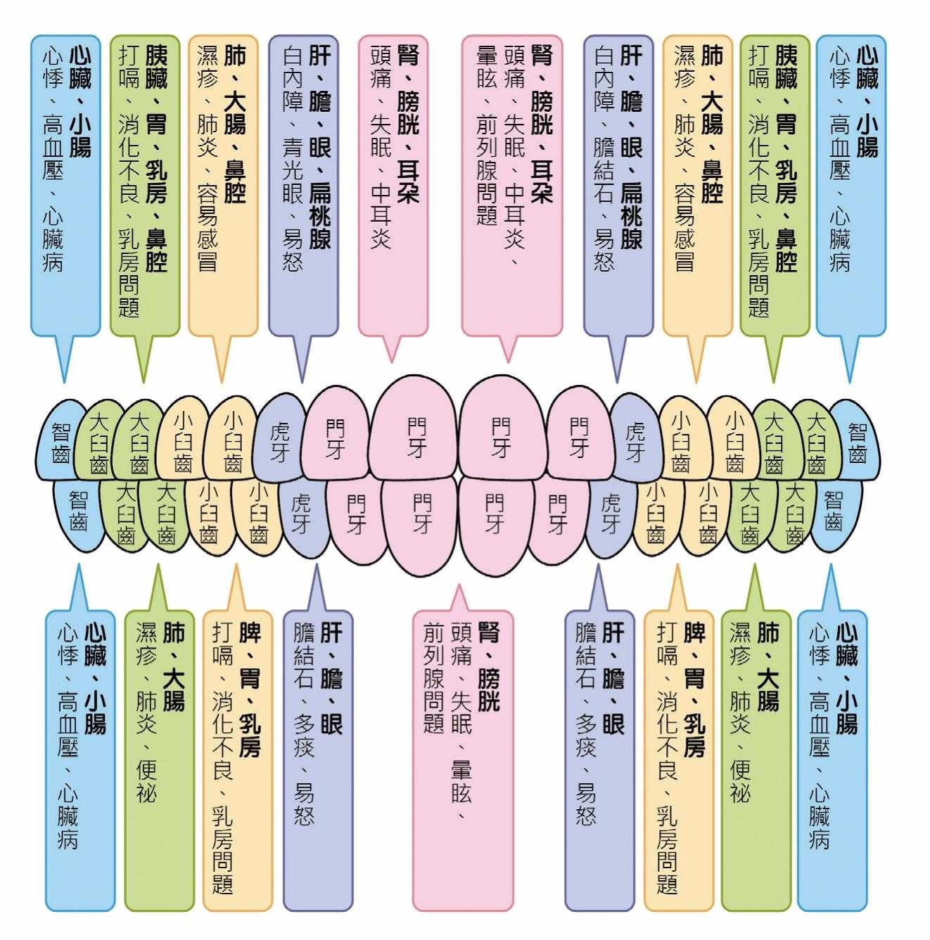 ▲《矯正可以不拔牙》。(圖/時報出版提供)