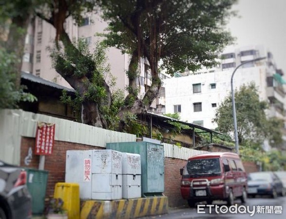 ▲桃園市府將活化桃園區東國街日式宿舍，設置「桃園文學館」。（圖／桃園市政府提供）