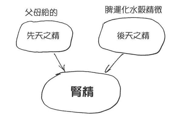 ▲《漫畫秒懂中醫》書摘圖。