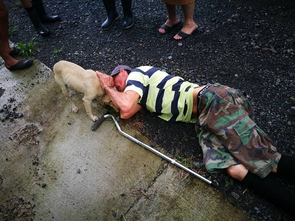 主人出意外，狗狗焦急討救兵。（圖／翻攝自Milagro Muñoz Araya）