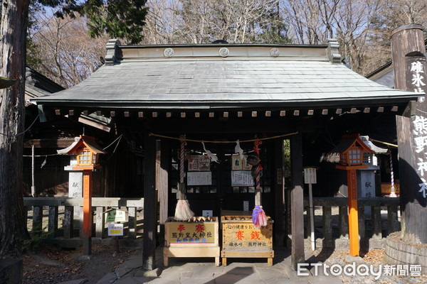 ▲輕井澤秋冬必去5景點　繞行850年「信濃樹」可求戀愛運。（圖／記者嚴云岑攝）