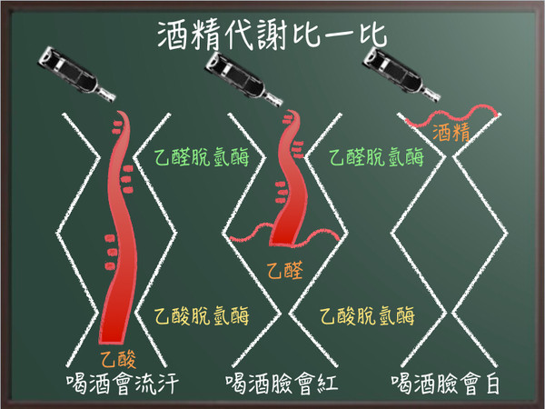 ▲愛他命專欄圖。(圖/愛他命提供)