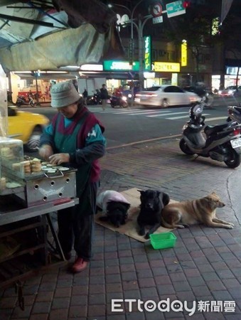 ▲三重阿嬤賣車輪餅＋賣屋工地舉廣告牌，只為養活心愛毛孩。（圖／網友楊萱提供，下同。）