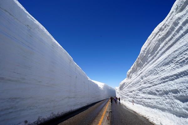 ▲期間限定立山黑部美景。（圖／七逗旅遊網、Shutterstockｗ提供）